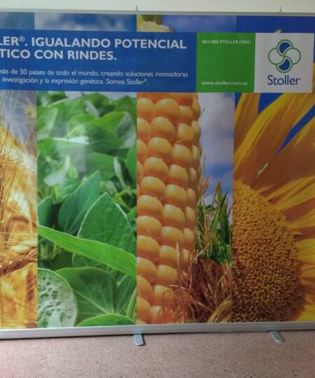 Rollups 2x2m y 3x2m con lona front impresa